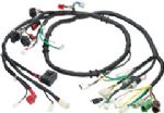 Motorcycle wire harness-2 two wheelers-3 three wheelers wiring harness